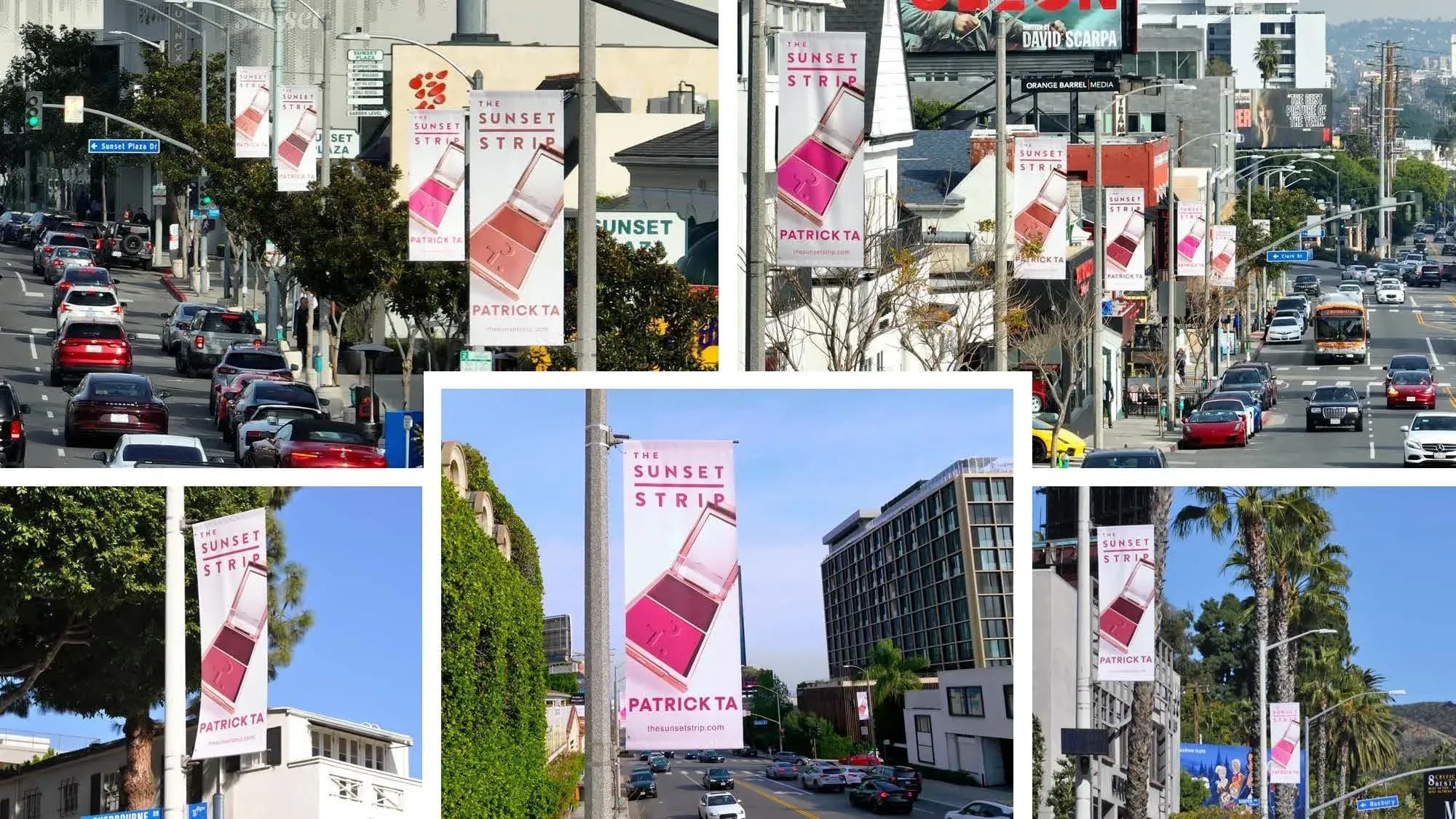 Patrick Ta — Pole Banners, West Hollywood